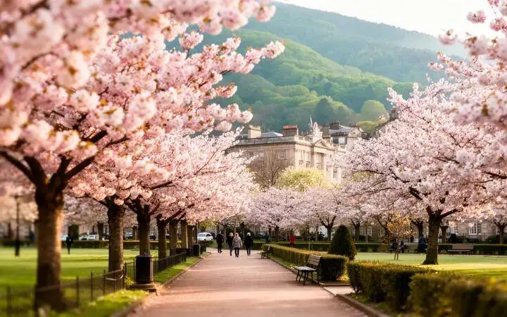 Georgia in Spring: Travel Guide