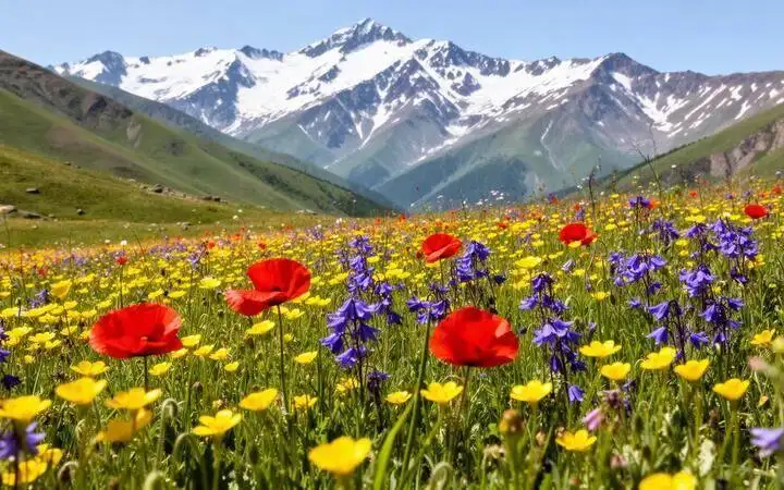 Georgia's Wildflower Season Guide